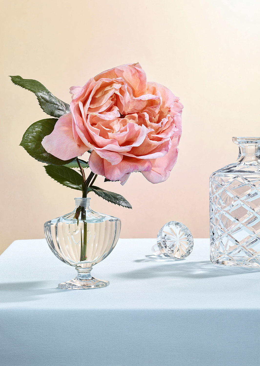 une rose dans un flacon de parfum