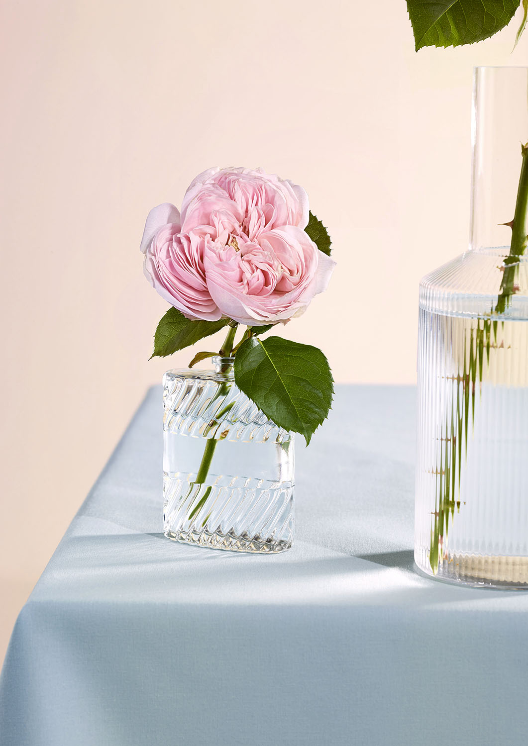 une rose dans un flacon de parfum